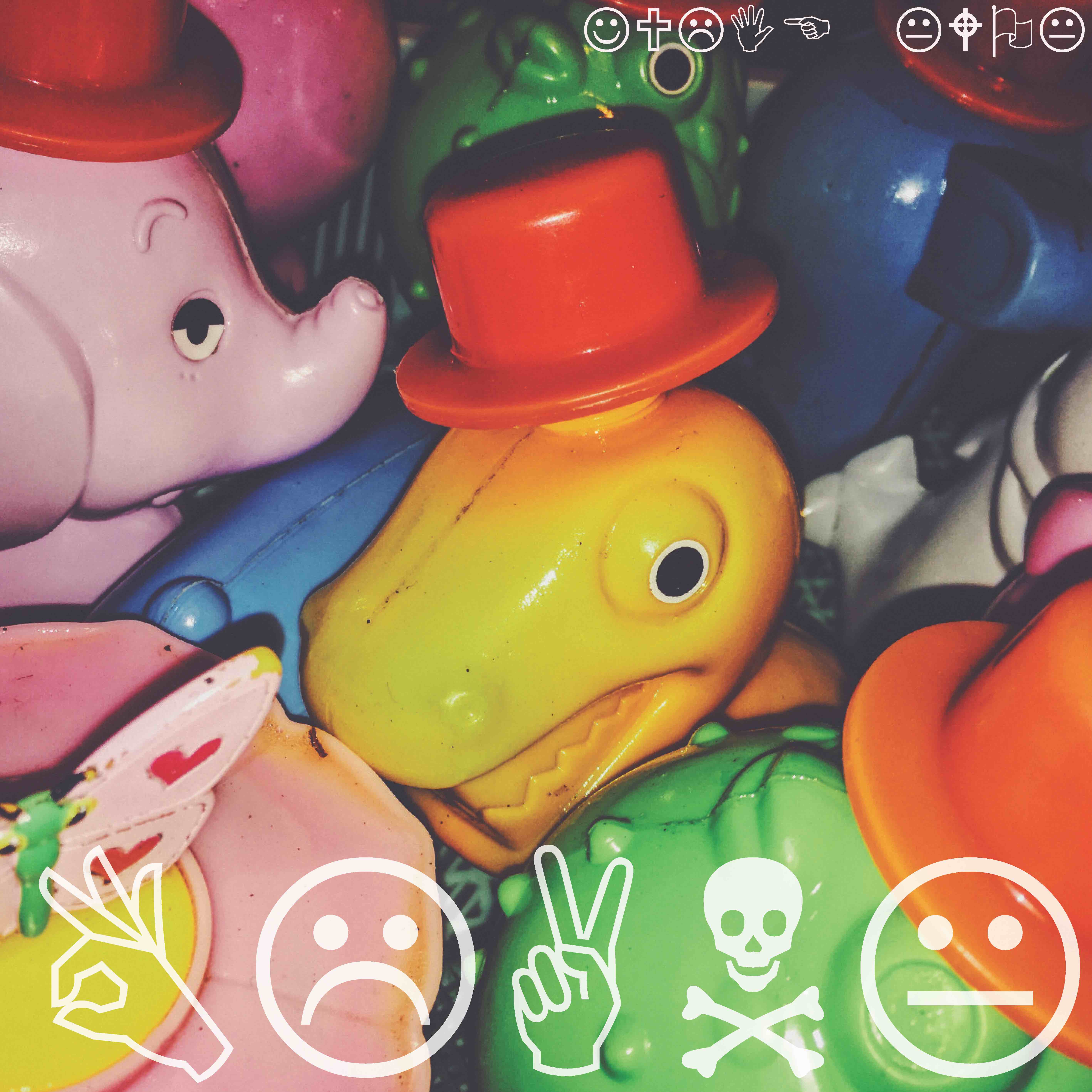 zookissue2